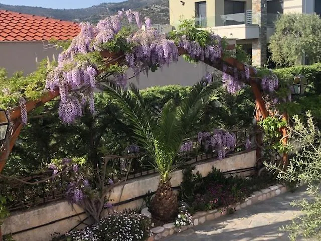 Aegean