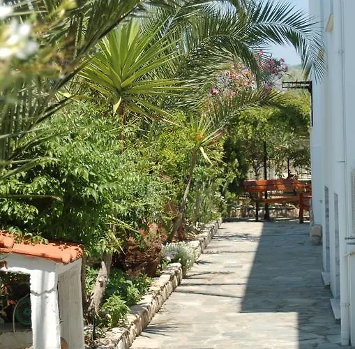 Daire Aegean